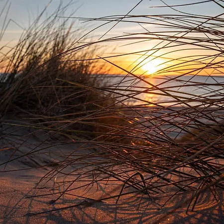 Tatil Evi 6 Person In Blokhus-by Traum Blokhus